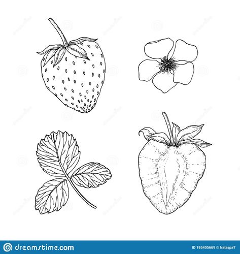 Unforgettable Tattoo, Snow Tattoo, Strawberry Drawing, Abstract Tattoo Ideas, Strawberry Tattoo, Fruit Tattoo, Flower And Leaves, Sun Tattoos, Bff Tattoos