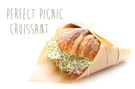 Perfect Picnic Recipes: Croissant Sandwich Picnic Croissant, Recipe Croissant, Fresh Croissants, Marscapone Cheese, Croissant Sandwiches, Turkey Avocado, Vegetable Appetizers, Croissant Sandwich, Picnic Recipes