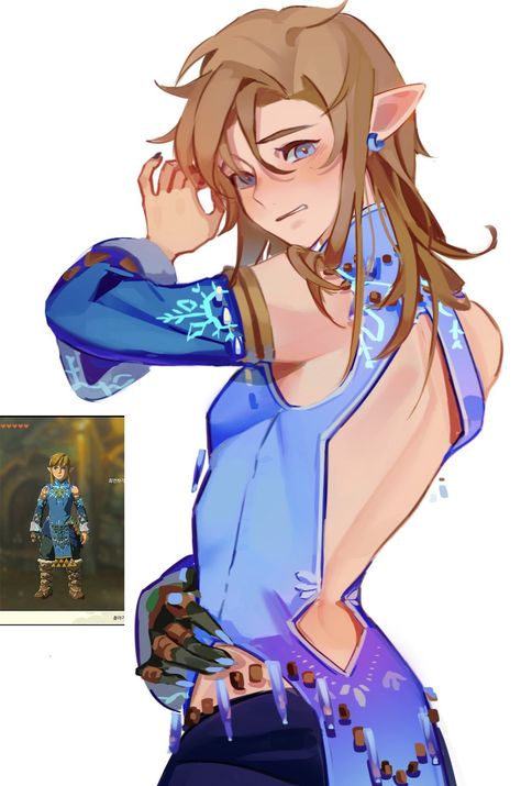 Breath Of The Wild Link Fanart, Link Gerudo Outfit Fanart, Link Femboy Art, Frostbite Armor Link, Link In A Dress, Link X Y/n, Link Frostbite Armor, Sidon X Link Fanart, Link Totk Fanart