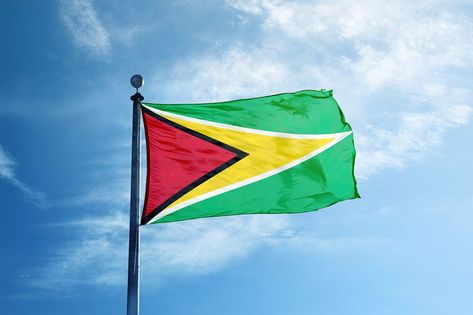 Guyana Flag, South America, Wind Sock, Piano, Flag, Map, Outdoor Decor, Quick Saves