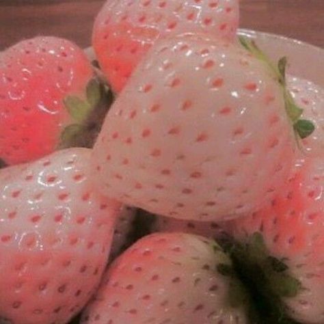 Pink Fruit Aesthetic, Pink Strawberry Aesthetic, Soft Pink Aesthetic, Strawberry Aesthetic, Fruit Aesthetic, Pink Fruit, Pink Strawberry, Pink Aesthetic, Strawberries