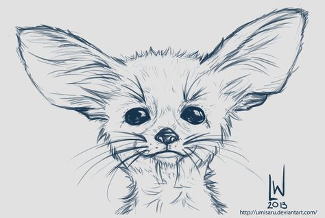 Big Eared Fox - Sketch by umisaru on deviantART Fenic Fox Drawing, Fennec Fox Drawing, Zorro Fennec, Fox Sketch, Fox Drawing, Animal Drawings Sketches, Nature Sketch, Fennec Fox, Amazing Drawings