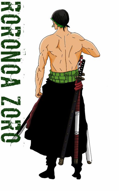 Roronoa Zoro back after Timeskip Zoro Body One Piece, Time Skip, Anime Soul, Zoro One Piece, One Piece Drawing, Body Drawing, Body Reference, Tsum Tsum, Roronoa Zoro