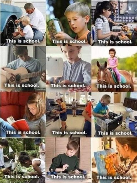 Homeschooling doesn’t look like public school. Your kids are being prepared for the real world instead they are an active part of it Trad Wife Aesthetic, Homeschool Humor, Homeschool Quotes, The Lie, Homeschool Inspiration, The Carolinas, Homeschool Encouragement, Homeschool Learning, Homeschool Life