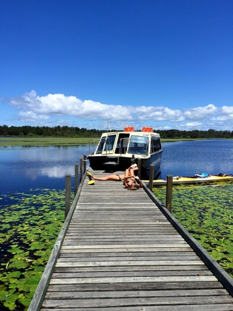 a quite moment on the Noosa Everglades Discovery Group tour #visitnoosa #seeaustralia Noosa Everglades, Noosa Heads, The Great Barrier Reef, Paris London, More Travel, Property For Rent, Great Barrier Reef, Sunshine Coast, Best Cities