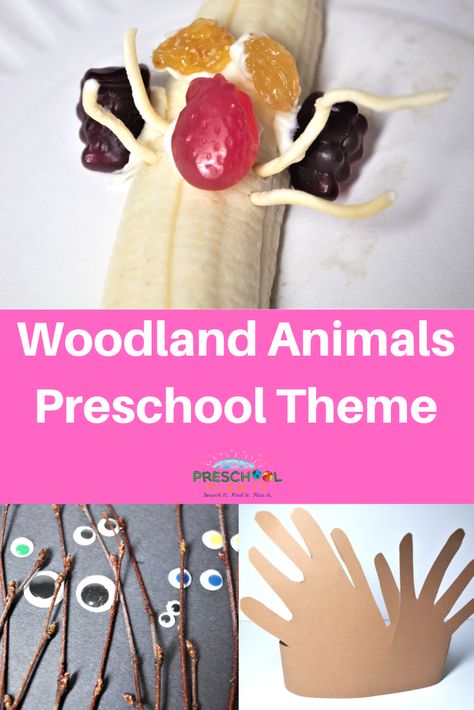 A Woodland Animals Preschool Theme!   Over 35 activities on this page for your Interest Learning Centers! Woodland Animals Preschool, Habitats Preschool, Learning Center Ideas, Childcare Crafts, Forest Animals Preschool, Family Crafts Preschool, Theme For Preschool, Early Preschool, Animals And Their Homes