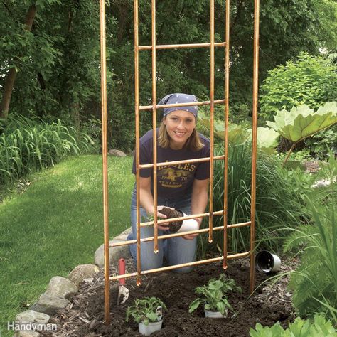 Build a unique, natural-looking garden trellis for your climbing flowers and vines using standard copper water pipe. This long-lasting copper trellis is made entirely from 1/2-in. and 3/4-in. copper pipe soldered into a repeating ladder pattern. Copy our design, or create your own using the techniques we show here. Copper Trellis, Backyard Structures, Diy Garden Trellis, Climbing Flowers, Diy Trellis, Plants Growing, Garden Vines, Wall Diy, Garden Arbor