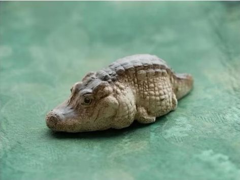 Crocodile Eyes, Cute Alligator, Tea Pet, Cute Reptiles, Bear Carving, Lego Room, Wuxi, Small Workshop, Clay Art Projects