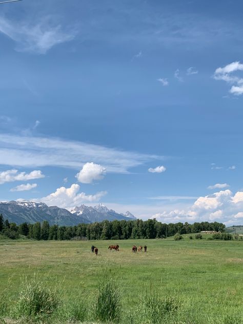 Montana Farm Aesthetic, Western Green Aesthetic, Mid Western Aesthetic, Western Mountain Aesthetic, Western America Aesthetic, Montana Cowgirl Aesthetic, Hill Country Aesthetic, Montana Cowboy Aesthetic, American West Aesthetic