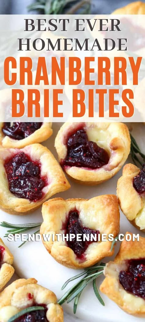 Cranberry brie bites are the perfect party appetizer. This easy recipe is made with just 4 simple ingredients including premade crescent rolls! Make-ahead or pop in the freezer to have these yummy treats on hand at any time!  #spendwithpennies #cranberrybriebites #appetizer #easyrecipe #bitesized #partyappetizer #makeahead Cranberry Brie Bites, Brie Cranberry, Cranberry Brie, Brie Bites, Make Ahead Appetizers, Homemade Pastries, Cranberry Sauce Homemade, Party Appetizer, Homemade Snacks