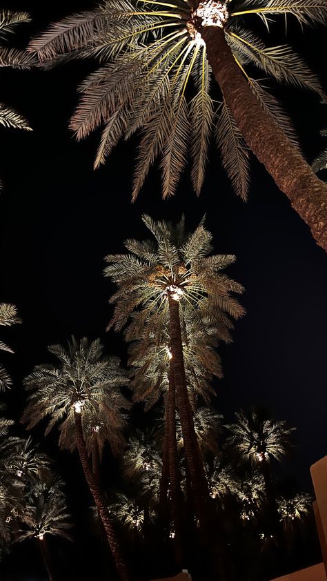 Arab Nights Aesthetic, Dark Tree Wallpaper, Arabic Night, Palm Tree Aesthetic, Night Landscape Photography, Iphone Lockscreen Wallpaper, Arte Van Gogh, Art Ancien, Night Scenery