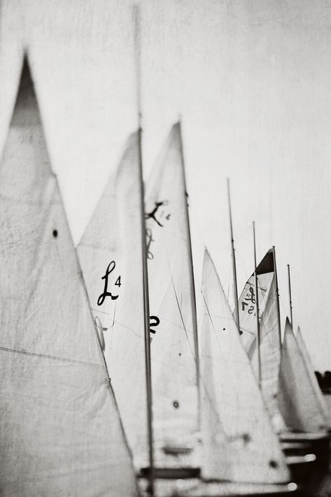 Modern coastal photograph in black and white by Alicia Bock. Art Photography Black And White, Sailboat Photography, Sailboat Wall Art, Michigan Art, Sailing Art, Sailboat Art, Sailboat Print, Photography Black And White, Black And White Photograph