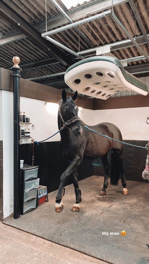 Horse Vet Aesthetic, Vet Life Aesthetic, Black Veterinarian Aesthetic, Equine Vet Aesthetic, Veterinary Motivation, Aesthetic Vet Pictures, Veterinary Aesthetic, Vet Pictures, Horse Vet