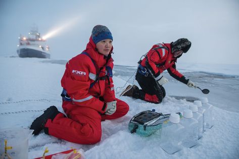 A year long expedition spotlights night life in the Arctic winter | Science News The Midnight Library, Arctic Expedition, Arctic Explorers, Winter Science, Polar Night, Arctic Sea, Gray Whale, Sea Ice, Character Analysis