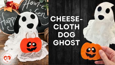 Diy Dog Ghost, Dog Ghost Costume, Ghost For Halloween, Walking A Dog, Cheesecloth Ghost, Halloween Appetizers Easy, Dog Ghost, Ghost Walk, Ghost Diy