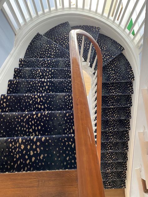 Animal Print Stairs, Leopard Carpet Stairs, Antelope Carpet, Blue Stair Runner, Carpet On Stairs, Myers House, Leopard Carpet, Granite Stairs, Animal Print Carpet