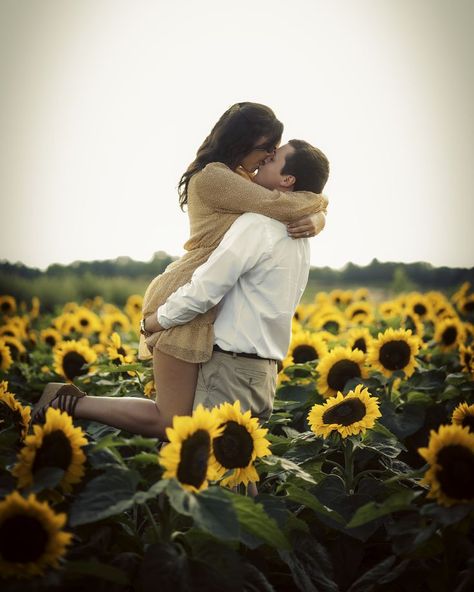 Sunflower Field Couples Photoshoot, Sunflower Engagement Pictures, Sunflower Field Photography, Sunflower Field Pictures, Pumpkin Patch Photoshoot, Sunflower Photography, Engagement Photography Poses, Sunflower Photo, Sunflower Pictures