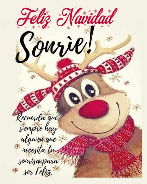 Feliz Navidad: Sonrie y regala una sonrisa en navidad | Consejosdeldia.com Christmas Msg, Happy Holidays Images, Christmas Messages, Navidad Christmas, Christmas Mood, Good Morning Greetings, Merry Christmas And Happy New Year, Christmas Quotes, Christmas Pictures