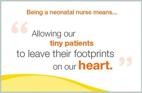 Happy Neonatal Nurses Day! Nurse Meaning, Neonatal Nurse, Night Nurse, Job Hiring, Nurse Rock, Nurses Day, Nurse Quotes, Nurse Practitioner, Nurse Humor