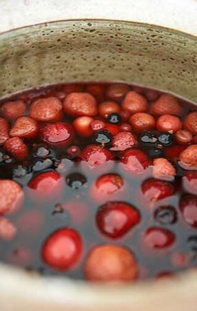 Bachelor’s jam -Choose just-ripe fruits as they appear through the summer and autumn. Place these in the bottom of your pot or jar and, for every 2 ½ c. fruit, sprinkle over 1 c.  sugar.  Leave this for an hour or so then pour over about 4 c. of your chosen alcohol. Place the saucer on top of the fruit to make sure the fruit remains immersed. Then cover the pot with cling film or plastic and, finally, a close-fitting lid. Adding fruit as it ripens thru the season. River Cottage Recipes, Cottage Community, Nutrition Therapy, Elderberry Recipes, Cooking Vegan, River Cottage, Greek Dishes, Fruit Jam, Different Fruits