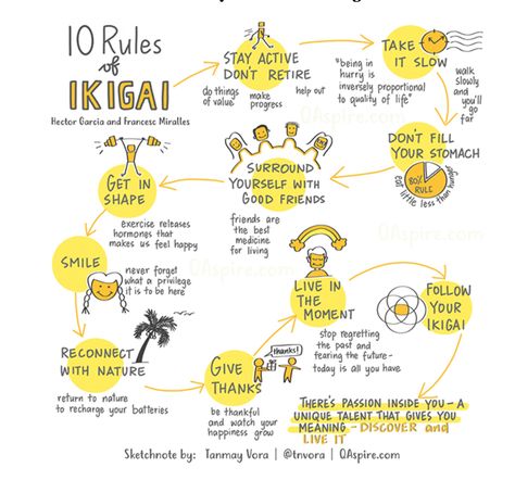 Wednesday Wisdom - The 10 rules of #IKIGAI are the foundation to living a good life #d6tm #toastmasters #rochmn #rocHMN #rochestercvb #rochester_mn #minnesotas_rochester #rochmnchamber #becauserochester #dmcmn Ikigai 10 Rules, Rules Of Ikigai, 10 Rules Of Ikigai, 10 Rules Of Life, Ikigai Rules, Rules To Live By, Ikigai Quotes, Quotes Self Improvement, Halloween Pumpkin Painting Ideas