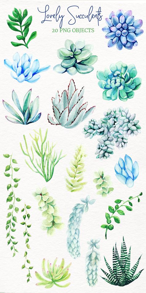 Succulents Watercolor Clipart by JSolomatina on @creativemarket Draw Succulents, How To Paint Succulents, Painted Succulents, Succulent Watercolor, Succulent Drawings, Watercolour Clipart, Succulents Painting, Succulent Drawing, Succulent Drawing Sketches