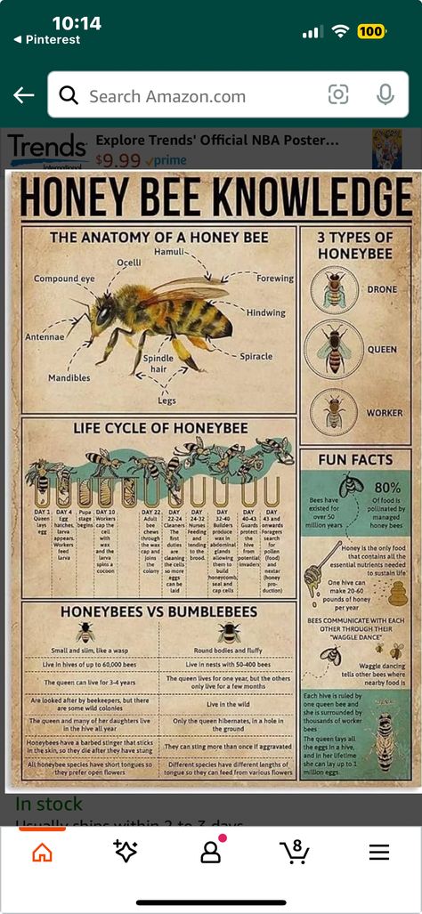 Homestead Knowledge, Homesteading Knowledge, Herbal Knowledge, Balcony Gardening, Florida Gardening, Balcony Garden, Life Cycles, Simple Life, Balcony