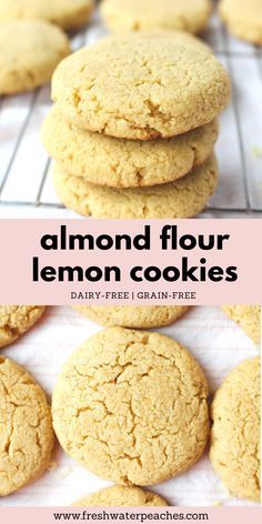 Dairy Free Almond Flour Recipes, Low Carb Almond Flour Cookies, Almond Flour Recipes Cookies Healthy, Gf Lemon Cookies, Almond Flour Sugar Free Recipes, Gluten Sugar Free Recipes, Gluten Free Dairy Free Sugar Free Dessert, Sugar Free Almond Flour Recipes, Almond Flour Cookies Sugar Free