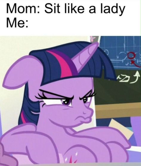 Mlp Memes Funny, Funny My Little Pony, My Little Pony Funny, Sit Like A Lady, Dibujos Toy Story, Mlp Funny, Twilight Sparkle Alicorn, Mlp Memes, My Little Pony Poster