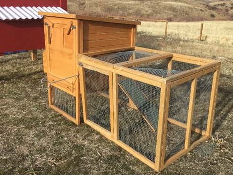 Why you should NEVER buy a coop from Amazon or Walmart — The Featherbrain Amazon Chicken Coop, Cheap Chicken Coops, Nesting Box, Future Family, Building Companies, Roofing Materials, Nesting Boxes, A Chicken, Chicken Coop