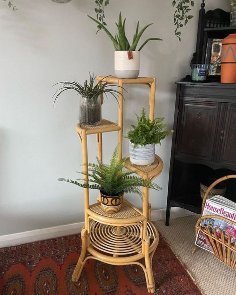 Bamboo Furniture Living Room, Rattan Plant Stand, Room Ideas Aesthetic Vintage, Bamboo Plant Stand, Pallet Patio Furniture, Bamboo Decor, Cane Furniture, Wooden Plant Stands, Nursery Room Design