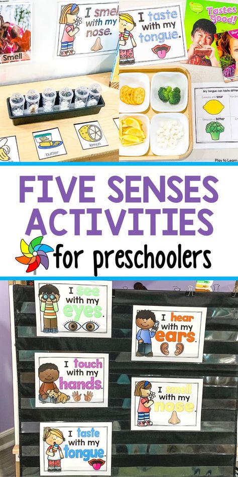 Five Senses Activities For Preschoolers, 5 Senses Activities For Preschoolers, Five Senses Activities, 5 Senses Preschool, Science Center Preschool, Five Senses Preschool, 5 Senses Activities, Taste Sense, Sensory Activities For Preschoolers