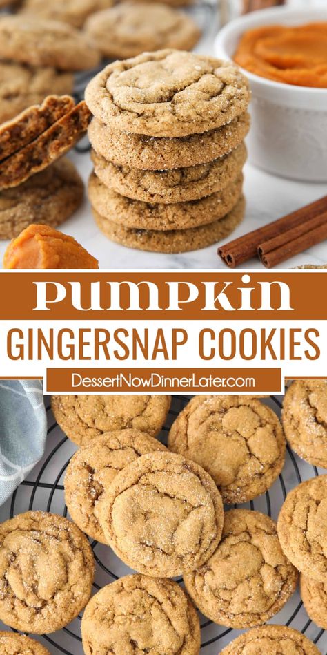 Pumpkin Pie Gingersnap Cookies, Pumpkin Ginger Snap Cookies, Chewy Pumpkin Gingersnap Cookies, Pumpkin Spice Molasses Cookies, Chewy Pumpkin Spice Molasses Cookies, Pumpkin Hermit Cookies, Ginger Pumpkin Cookies, Chewy Pumpkin Molasses Cookies, The Best Pumpkin Cookies