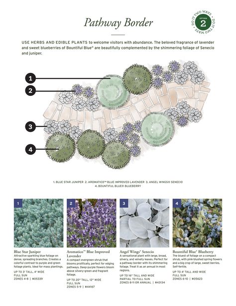 Weekend Project Guide by monroviaplants - Issuu Matrix Planting Plan, Landscape Design Rendering, Landscape Planting Plan, Garden Landscape Design Plan, Bhg Garden Plans, Formal Planting, Planting Design Plan, Circular Garden Design, Landscape Design Program