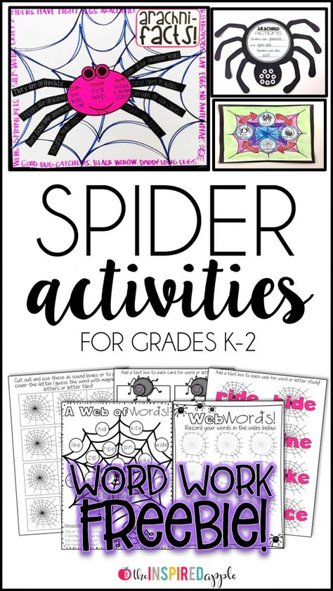 Spiders 1st Grade, Spider Activities For First Grade, Spider Activities For Kids, Spiders Kindergarten, Bat Activities, Spider Unit, Spider Activities, October Classroom, October School