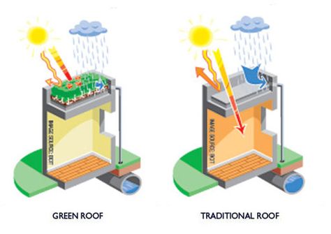 The benefits of green roofs - Blog | LIVE More by Minto Roof Garden Architecture, Green Roof Benefits, Green Roof Planting, Roof Plants, Green Roof Design, Extensive Green Roof, Green Roof System, Membrane Roof, Green Roofs