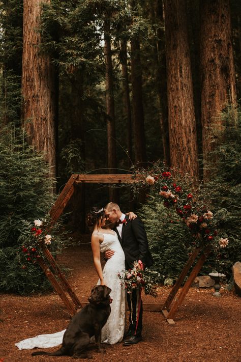 Redwoods Forest Wedding California — Michaela Maureen Redwood Wedding California, Simple Wedding Photography, Forest Wedding Theme, Wedding Photography Shot List, Redwood Forest Wedding, Forest Wedding Venue, Twilight Wedding, Redwood Wedding, Forest Theme Wedding