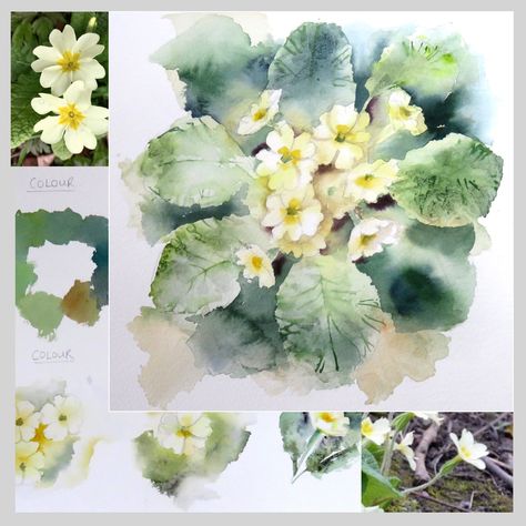 Primrose Watercolor, Watercolour Wildflowers, Wild Primrose, Russian Church, Wet Flowers, Puppy Drawing, Botanical Leaves, Watercolor Books, Watercolor Sketchbook