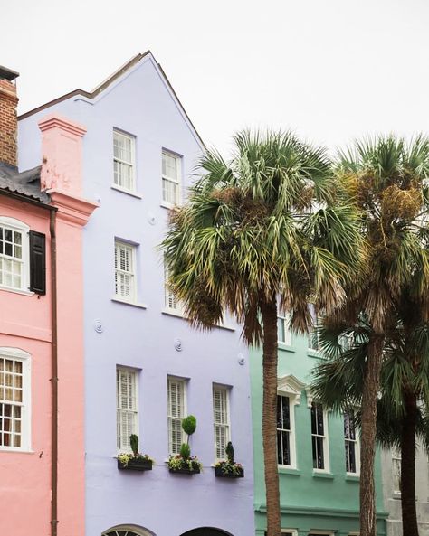 I wanted to wait for my film to get back from @thefindlab before posting more but I just can't wait to share more beauty from the magical city #charleston. Before I had ever visited Europe, I felt like this was as close as I'd get to that kind of feeling. Narrow streets, even some made of cobblestone, blocks and blocks of historic homes that haven't been torn down, shutters; there's no where like it. Urban Home Decor, Charleston Photography, Rainbow Row, Venice Travel, Visit Europe, Historic Homes, Charleston, The Row, Etsy Wall Art