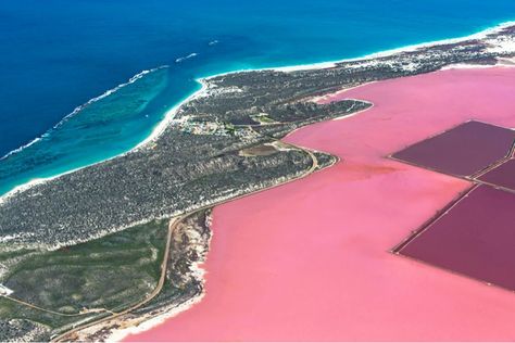 Western Australia is home to a number of extraordinary ‘pink lakes’.This particular bubblegum-pink wonder of nature is the Hutt Lagoon at Port Gregory.  Photo: Luke Shadbolt & Gary Pepper for Lancôme Pink Lake Spain, Lake Retba Senegal, Pink Lake Australia, Hutt Lagoon, Lake Retba, Torrevieja Spain, Gary Pepper, Gary Pepper Girl, Barrier Reef Australia