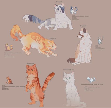 Clan Gen, Warrior Cats Clans, Cat Drawing Tutorial, Cats Art Drawing, Warrior Cats Fan Art, Warrior Cat Drawings, Warrior Cat Oc, Cat Oc, Warrior Cats Art