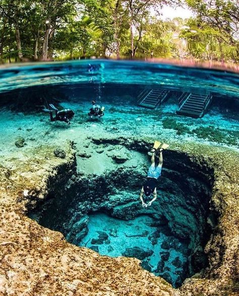 Ginnie Springs Florida, Ginnie Springs, Magic Places, Florida Springs, Springs Florida, Piscina Natural, Vacation Places, Florida Travel, Alam Yang Indah