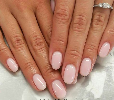 Shellac Nails Simple Sheer Nails, Manikur Kuku, Round Nails, Nail Art Wedding, Shellac Nails, Nails 2024, Oval Nails, Nagel Inspo, Neutral Nails