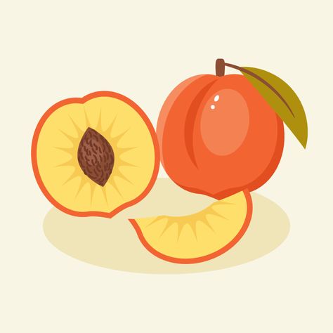 Character Practice, Create Cartoon Character, Tattoo Tutorial, Peach Illustration, Stationary Ideas, Product Illustration, Adobe Illustrator Design, Adobe Tutorials, Fruit Vector