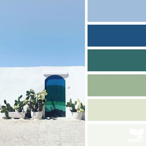 Jessica Colaluca (@designseeds) • Instagram photos and videos Color Psychology Personality, Seeds Color, Vintage Interior Design, Design Seeds, Color Harmony, Color Psychology, Color Studies, Colour Combinations, Furniture Design Modern