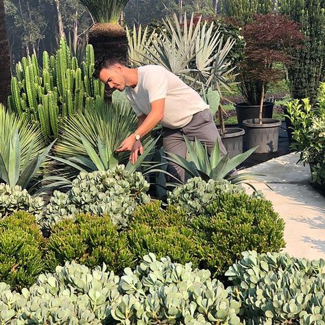 Adam Robinson Design (@adamrobinsondesign) • Instagram photos and videos Succulent Landscape, Succulent Landscape Design, Backyard Sanctuary, Waterwise Garden, Brick Exterior House, Outdoor Balcony, Plant Combinations, Outdoor Inspirations, Cactus Garden