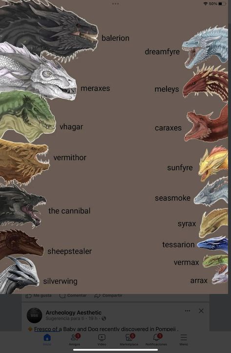 Dragon Sizes House Of The Dragon, Dragon Evolution, Asoiaf Dragons, Dragon Paper, Hotd Dragons, Dragon Family, Dragon Names, Dragon House, Got Dragons