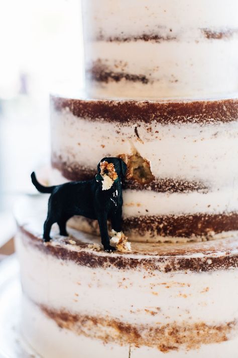 Black Lab Wedding Cake, Black Lab Wedding, 2025 Wedding, Wedding Crafts Diy, Simple Wedding Cake, Wedding Vision, Coastal Wedding, Beautiful Wedding Cakes, Grooms Cake