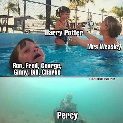 Citate Harry Potter, Glume Harry Potter, Potter Wallpaper, Funny Harry Potter Jokes, Tapeta Harry Potter, Potter Head, Harry Potter Memes Hilarious, Harry Potter Feels, Harry Potter Puns