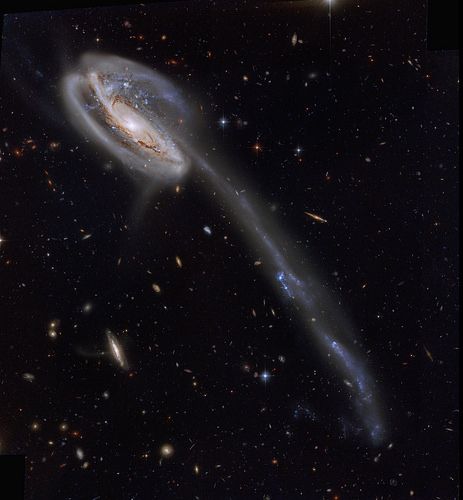 UGC 10214, The Tadpole Galaxy - Hubble Remix European Space Agency, Hubble Images, Galaxy Images, Astronomy Lover, Data Integrity, Lovely Pictures, One Small Step, Small Step, Hubble Space